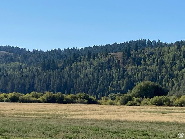 300 Haderlie Ln Unit 3, Freedom, WY 83120
