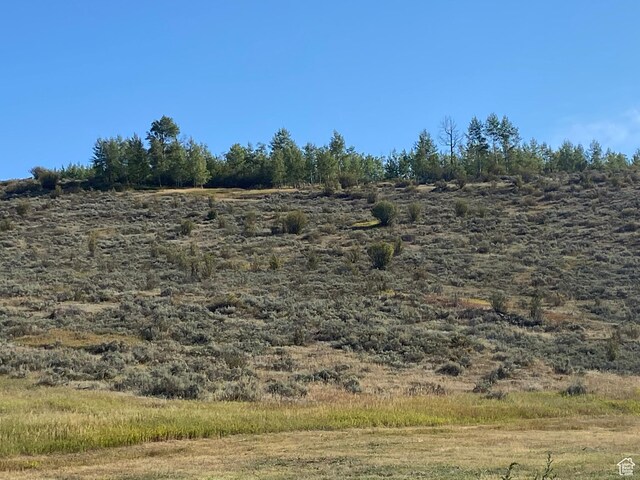 300 Haderlie Ln Unit 3, Freedom, WY 83120