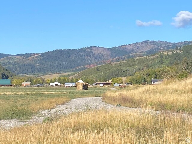 300 Haderlie Ln Unit 3, Freedom, WY 83120