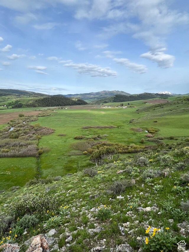 300 Haderlie Ln Unit 3, Freedom, WY 83120