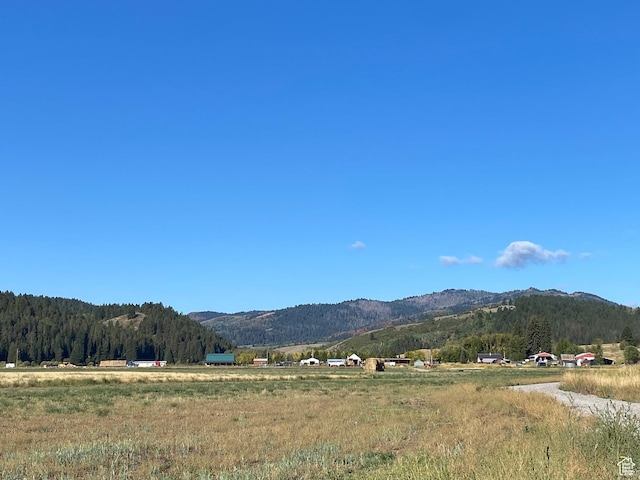 300 Haderlie Ln Unit 3, Freedom, WY 83120