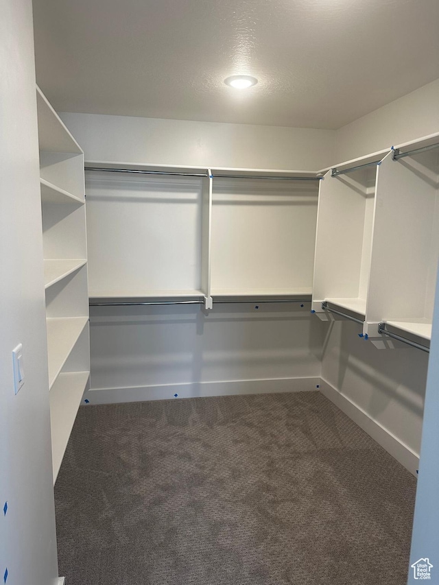 595 W 330 S, American Fork, UT 84003 - walk in closet with carpet