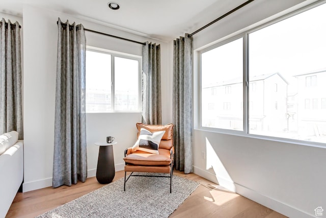 living area featuring light hardwood / wood-style floors