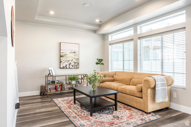 living area with a healthy amount of sunlight, baseboards, and wood finished floors