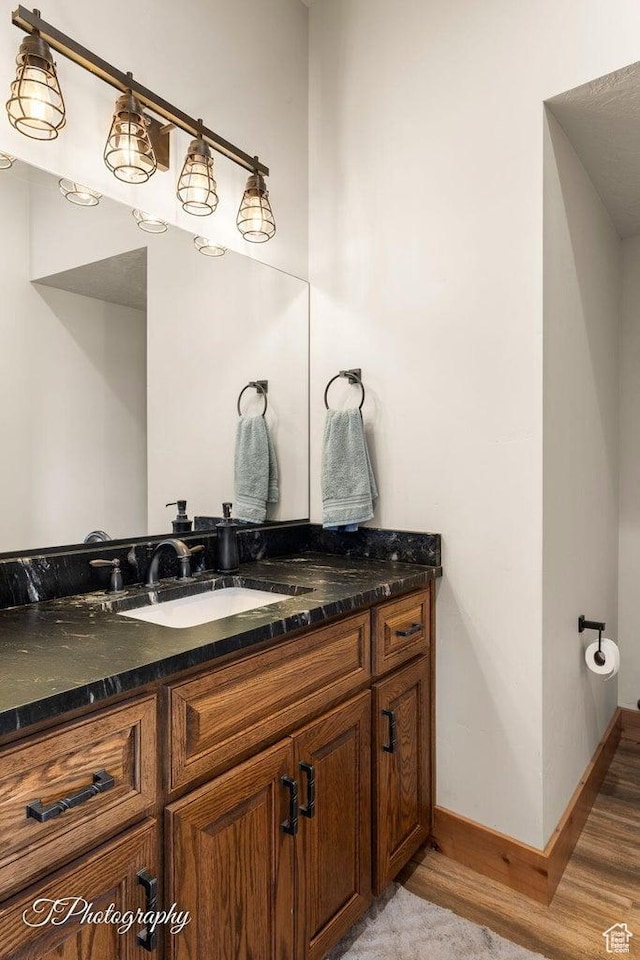 bathroom with hardwood / wood-style flooring and vanity