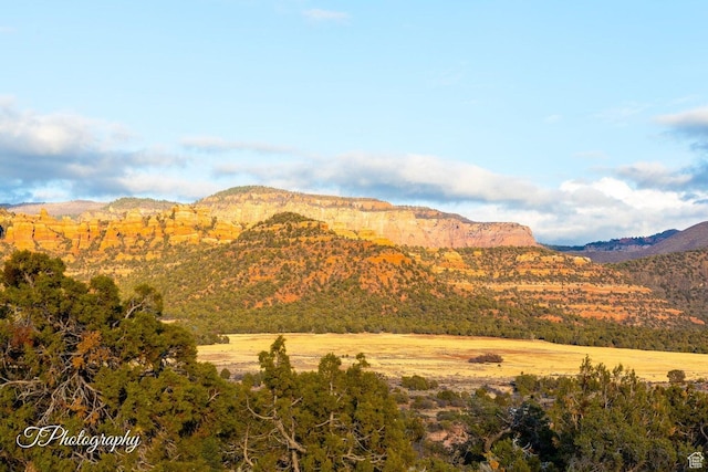 view of mountain feature