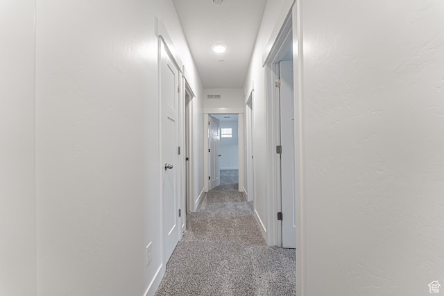 13742 S Hanley Ln Unit Gg303, Riverton, UT 84096 - hallway with light carpet and baseboards