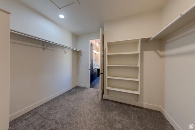 spacious closet with carpet floors