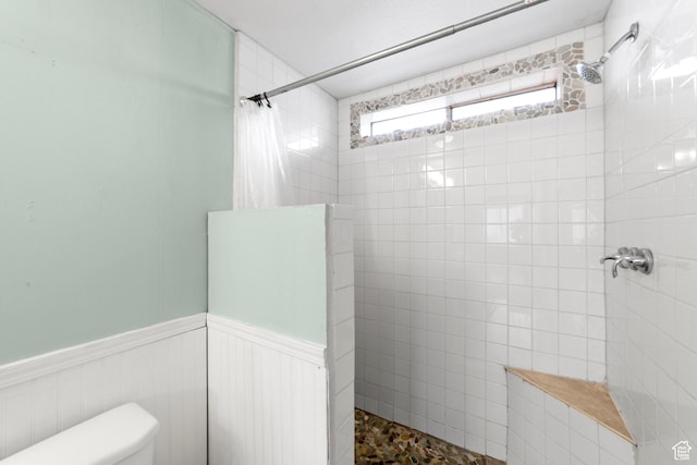 112 Arbor Dr, Moab, UT 84532 - bathroom with toilet and walk in shower