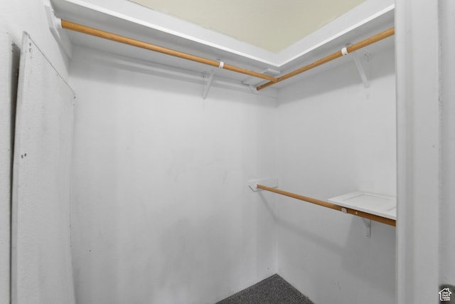 112 Arbor Dr, Moab, UT 84532 - view of spacious closet