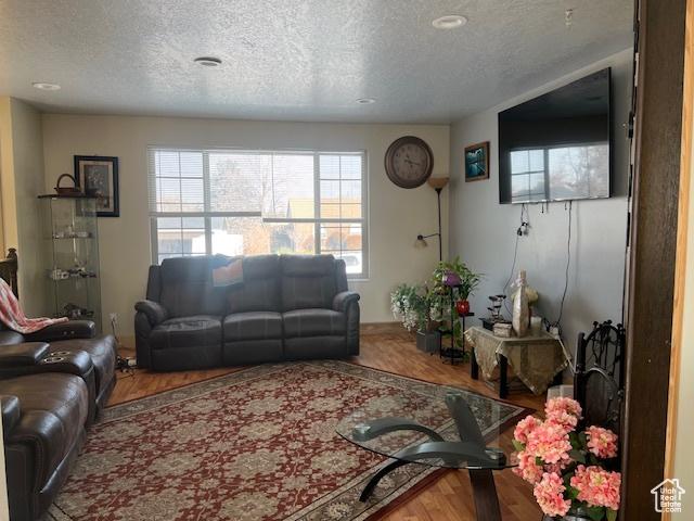living room featuring wood-type flooring and a textured ceiling