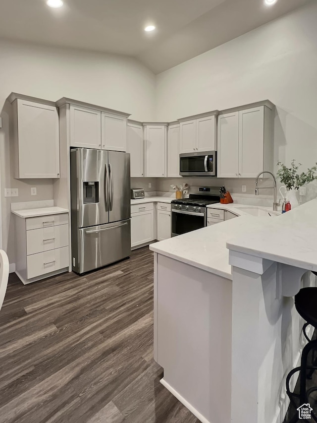 kitchen with a sink, a peninsula, stainless steel appliances, and light countertops
