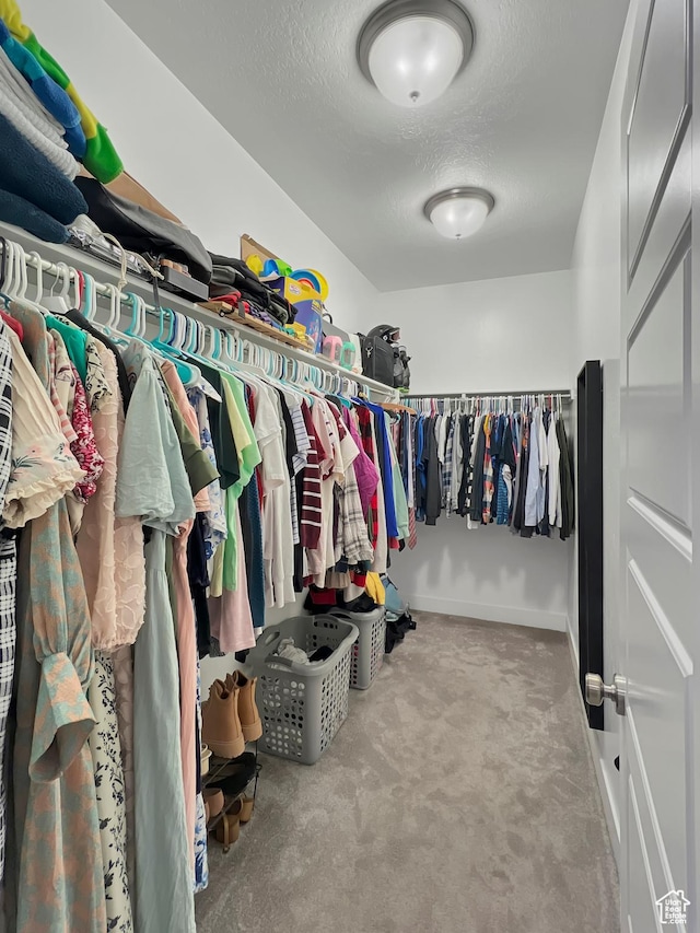 spacious closet featuring light colored carpet