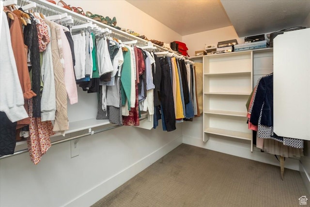 2025 W Orchard Harvest Dr, Kaysville, UT 84037 - spacious closet with carpet