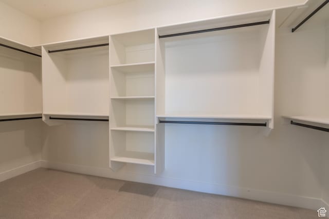 walk in closet featuring light carpet