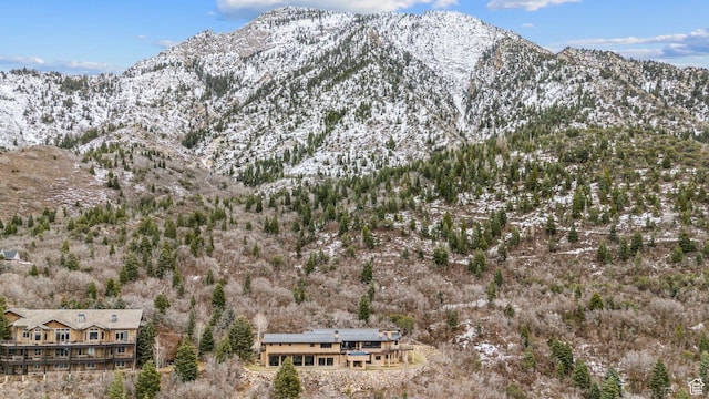 4552 S Zarahemla Dr E, Salt Lake City, UT 84124 - property view of mountains