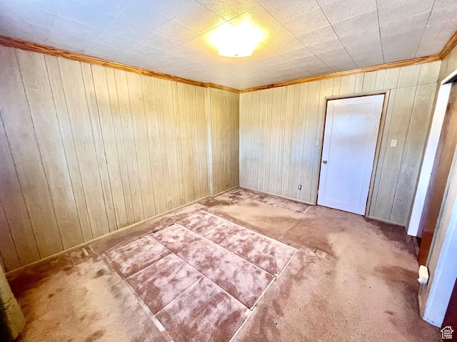 96 W 200 N, Richfield, UT 84701 - unfurnished room with wood walls and carpet flooring
