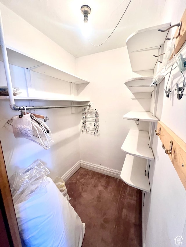 96 W 200 N, Richfield, UT 84701 - view of walk in closet