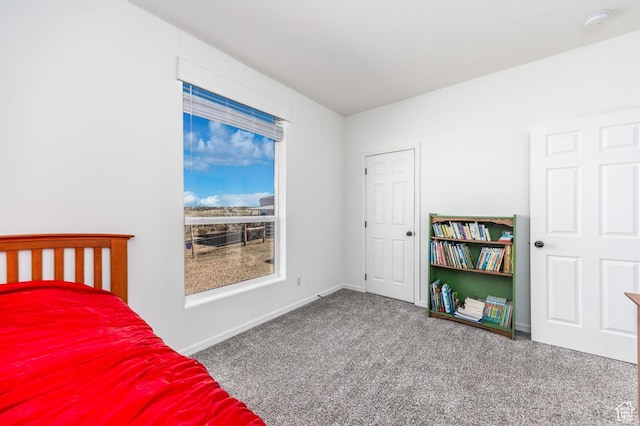 bedroom with carpet