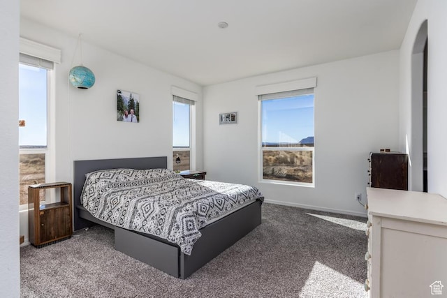 bedroom featuring carpet
