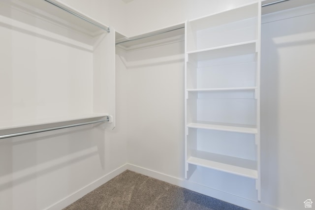 3786 S 4250 W Unit 425, West Haven, UT 84401 - walk in closet featuring dark colored carpet