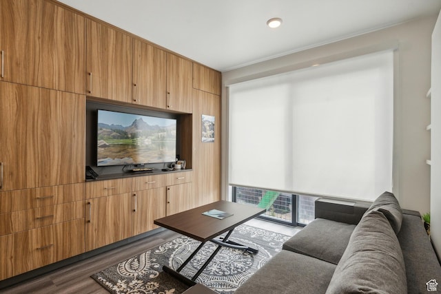 2670 W Canyons Resort Dr Unit 207, Park City, UT 84098 - living room featuring dark hardwood / wood-style floors
