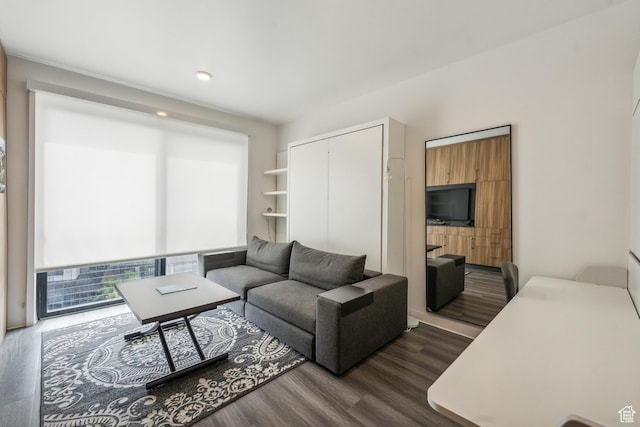 2670 W Canyons Resort Dr Unit 207, Park City, UT 84098 - living room with dark wood-type flooring