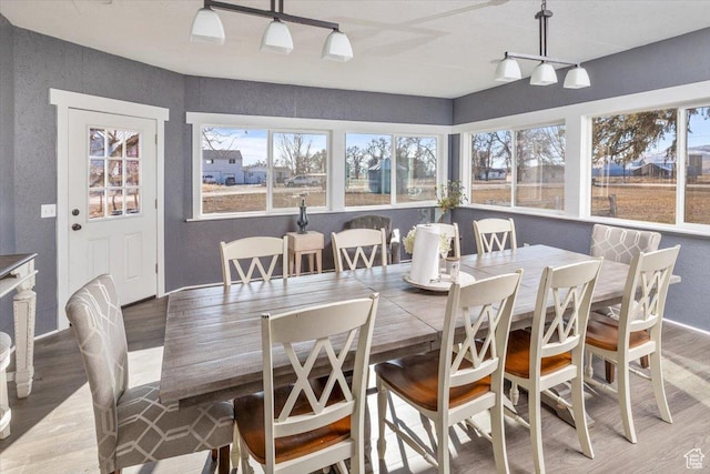 dining room featuring hardwood / wood-style floors and track lighting