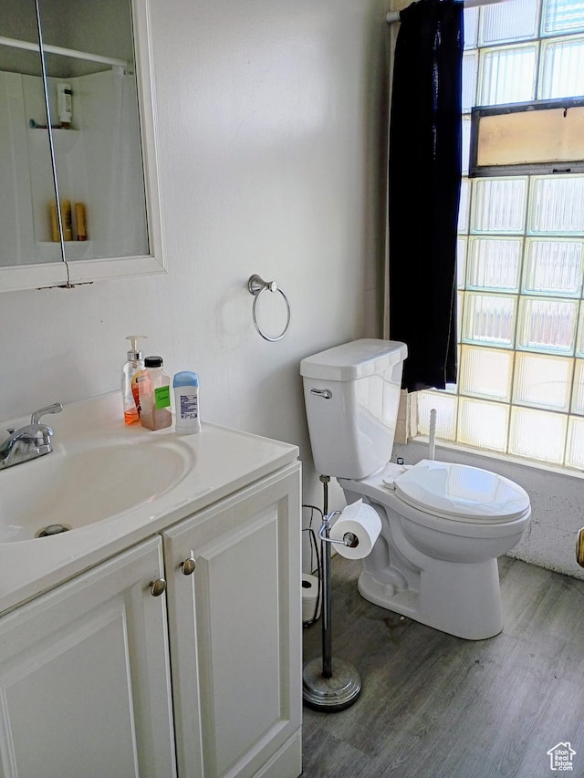 449 E 3rd S, Price, UT 84501 - bathroom featuring wood finished floors, toilet, a shower with curtain, and vanity