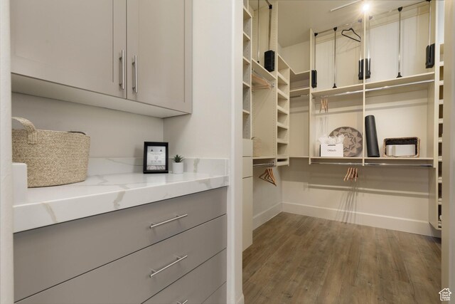1783 N Firerock Cir, Washington, UT 84780 - walk in closet featuring dark hardwood / wood-style flooring