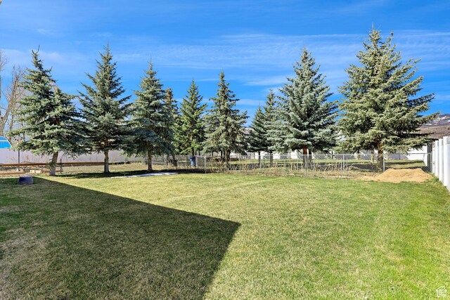 315 S Bear Lake Blvd, Garden City, UT 84028 - view of yard