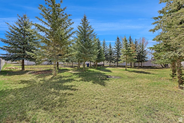 315 S Bear Lake Blvd, Garden City, UT 84028 - view of yard