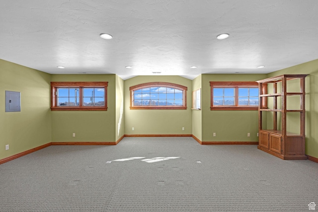 315 S Bear Lake Blvd, Garden City, UT 84028 - empty room featuring electric panel, baseboards, recessed lighting, and carpet flooring