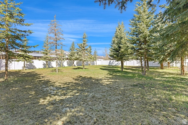 315 S Bear Lake Blvd, Garden City, UT 84028 - view of yard