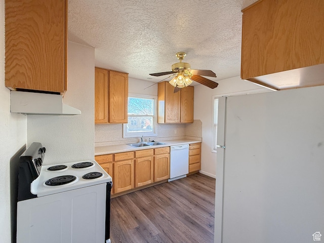 5840 S 2625 W, Roy, UT 84067 - kitchen featuring light countertops, light wood-type flooring, white appliances, a sink, and a ceiling fan