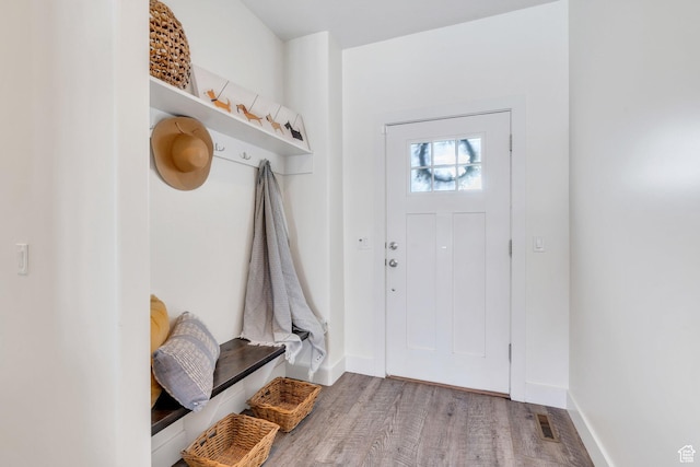 mudroom featuring wood-type flooring