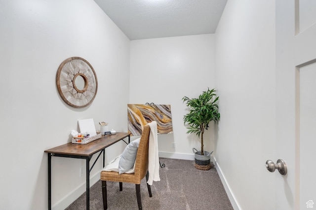 office area with carpet flooring