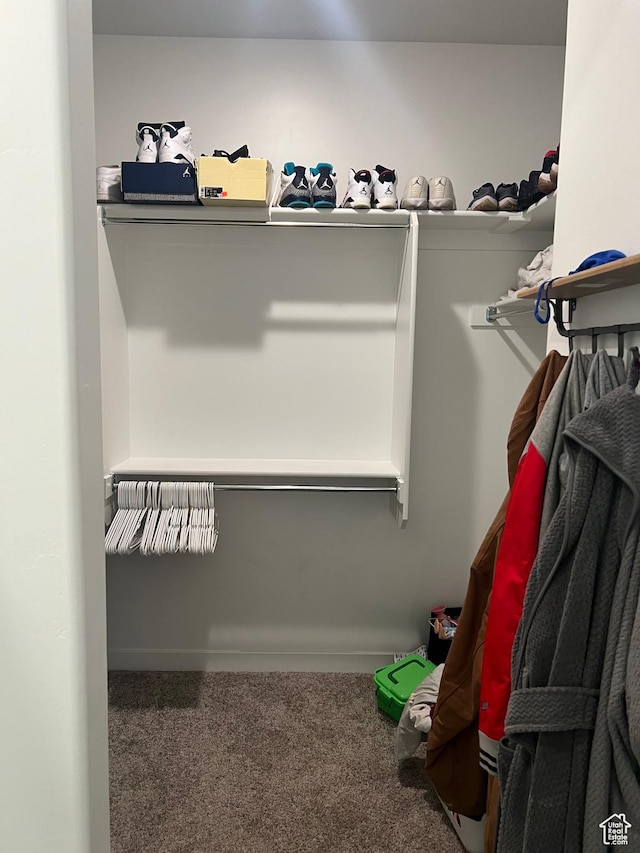 422 W 1360 N, Tooele, UT 84074 - walk in closet with carpet floors