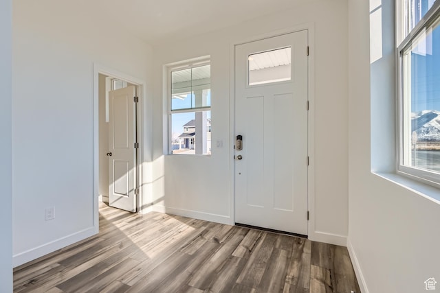 foyer entrance featuring plenty of natural light and hardwood / wood-style flooring