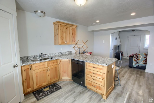 2460 W 450 N # 10, Tremonton, UT 84337 - kitchen featuring light brown cabinetry, dishwasher, sink, light stone counters, and kitchen peninsula