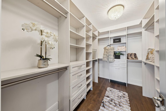 2905 E Denmark Dr, Cottonwood Heights, UT 84121 - walk in closet featuring dark wood-type flooring