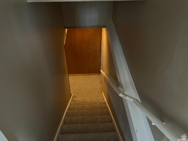 stairs featuring carpet floors