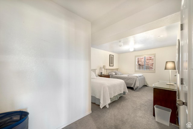 bedroom featuring carpet floors