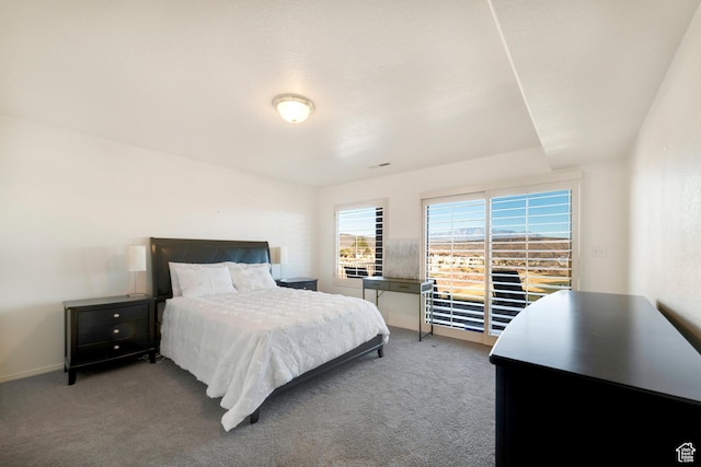 carpeted bedroom featuring access to exterior