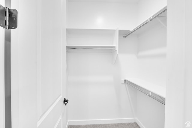 1162 N 375th St W Unit 22, Harrisville, UT 84404 - walk in closet with carpet flooring