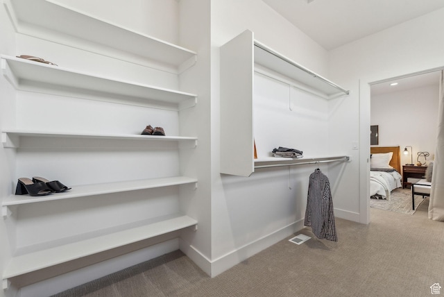 1618 S Main St Unit 2, Salt Lake City, UT 84115 - walk in closet featuring light carpet