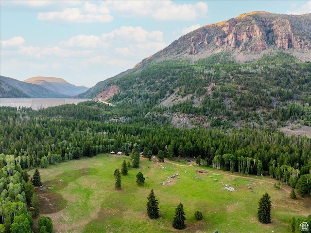 37186 W Rock Creek Rd, Duchesne, UT 84021 - photo 36