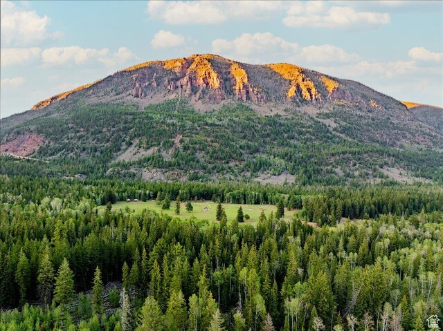 37186 W Rock Creek Rd, Duchesne, UT 84021 - photo 51