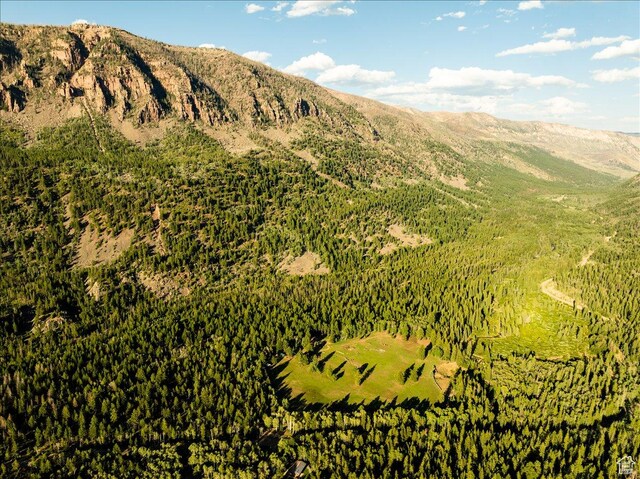 37186 W Rock Creek Rd, Duchesne, UT 84021 - photo 23