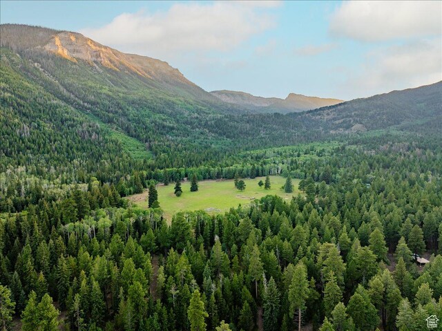 37186 W Rock Creek Rd, Duchesne, UT 84021 - photo 40